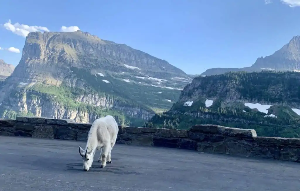 Glacier National Park Montana