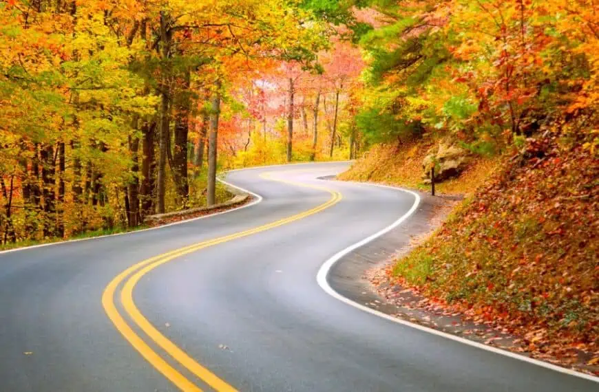 fall drive road