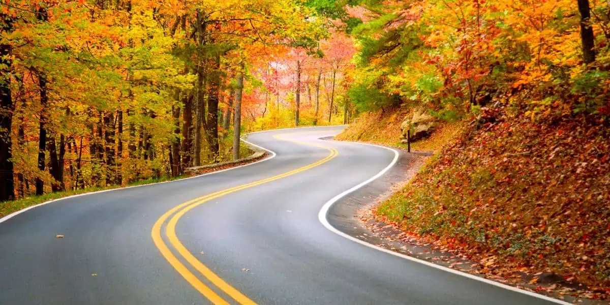 fall drive road