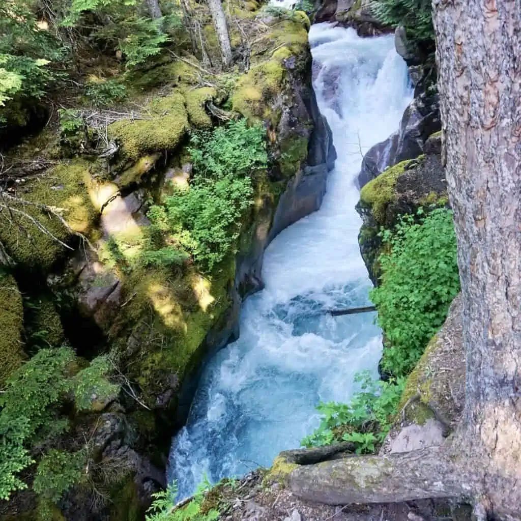 Glacier National Park