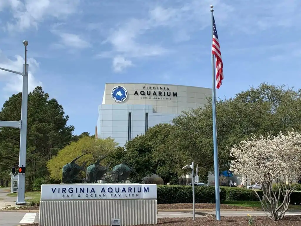 Virginia Aquarium in Virginia Beach