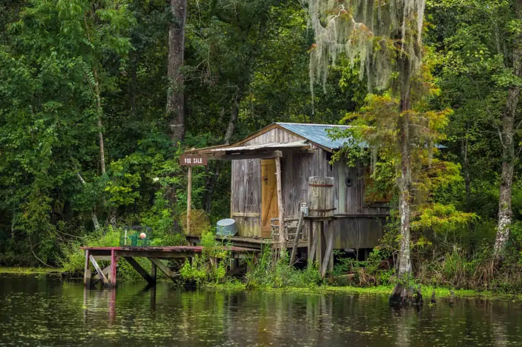 swamp tours in New Orleans, Louisiana