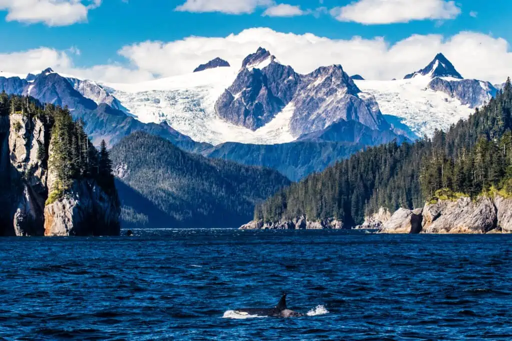 Kenai Fjords, Alaska, US