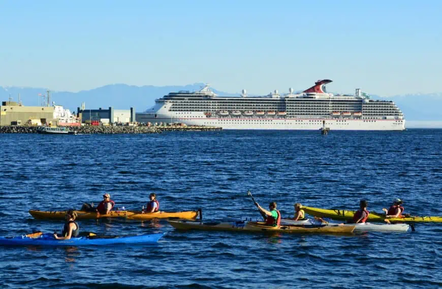 cruise ship and kayakers