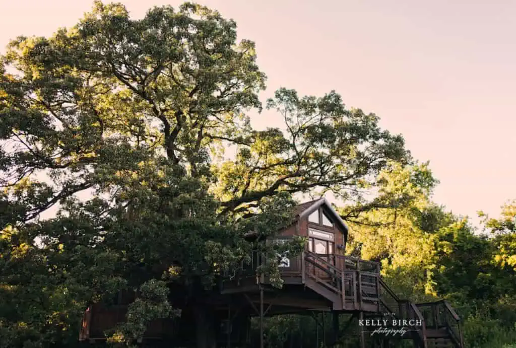 Treehouse Mansion Lofty Lodge - MN