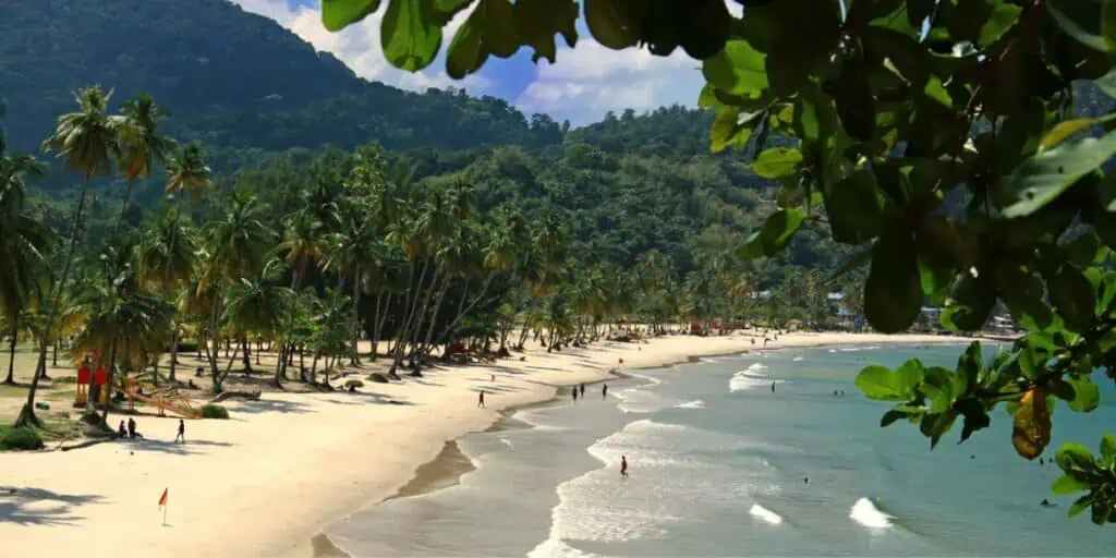 Beach of the Maracas Bay Trinidad - Caribbean Island