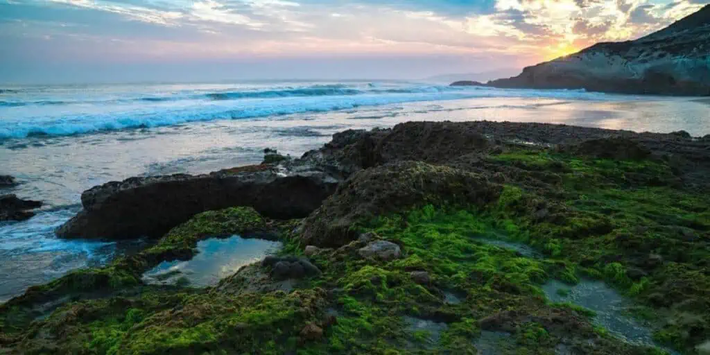 Santa Rosa Island - Channel Islands National Park