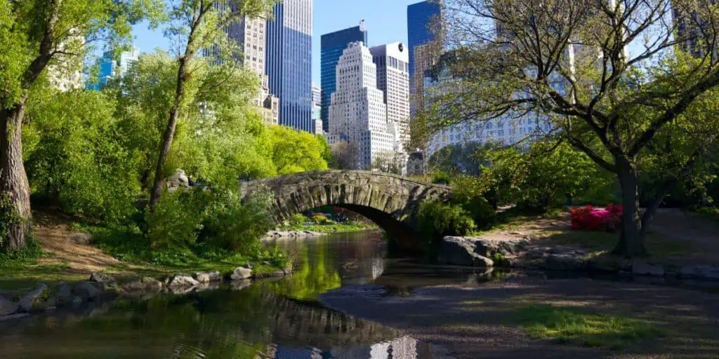 Central Park NYC