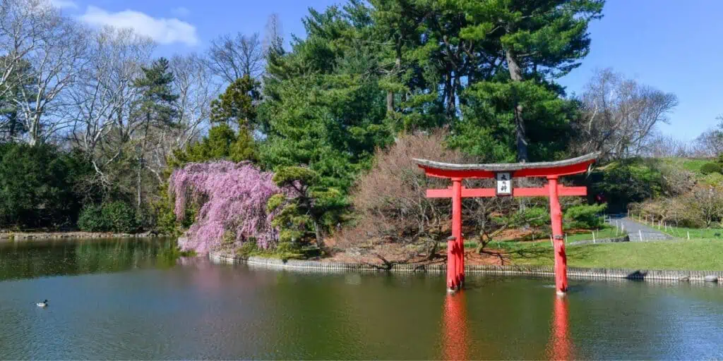 New York Botanical Garden