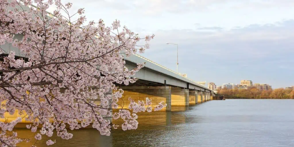 Potomac River Virginia