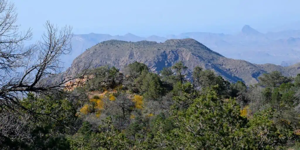 Big Bend National Park - Emory Peak Trail Vista