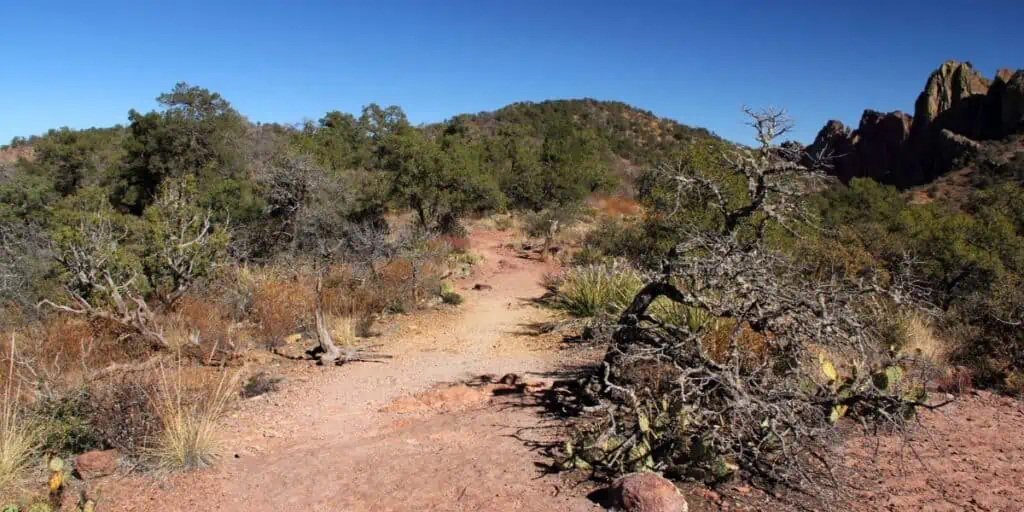 Big Bend National Park - Lost Mine Trail