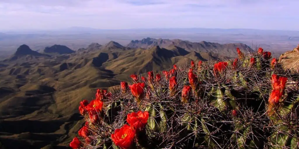 Big Bend National Park - South Rim