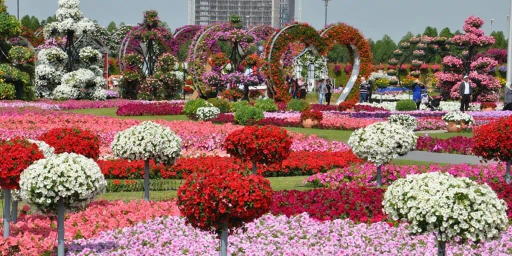 Dubai Miracle Garden