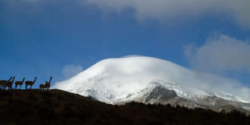 Ecuador Volcan Sangay Palora