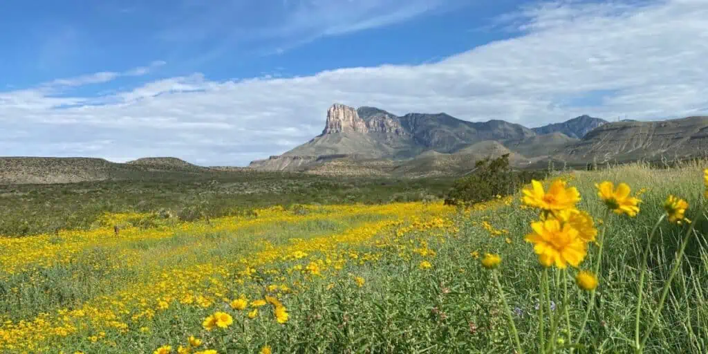 Guadalupe Mountains National Park