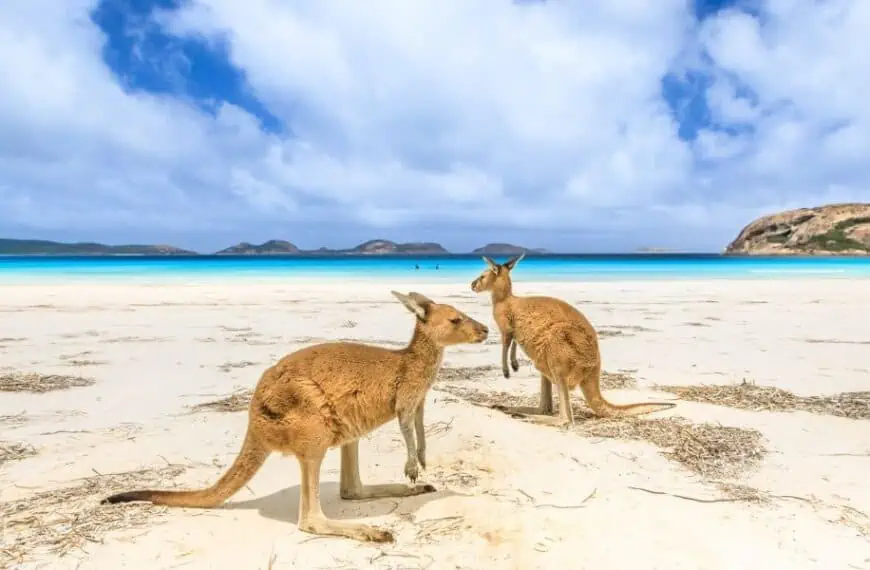 Lucky Bay - Australia