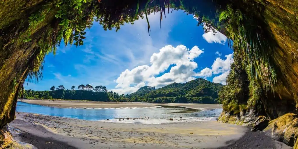 Pacific Coast - North Island, New Zealand