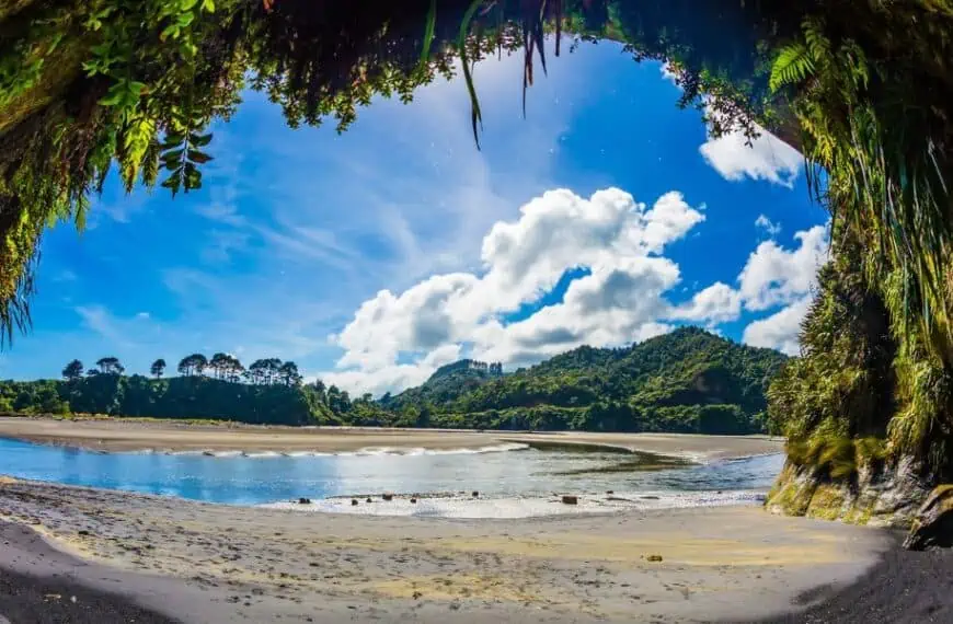 Pacific Coast - North Island, New Zealand