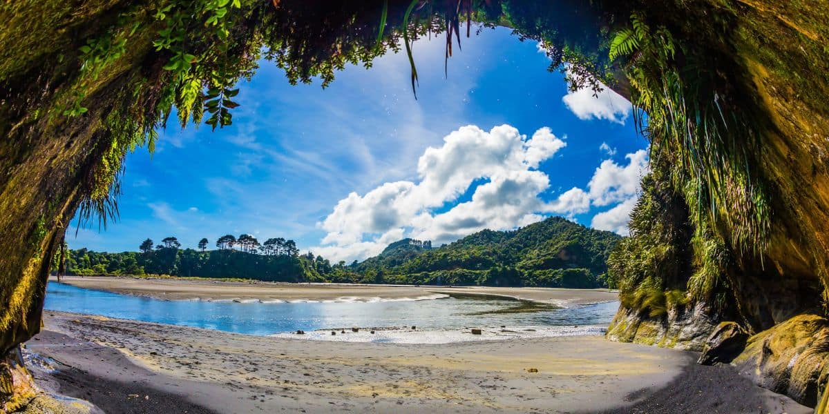 Pacific Coast - North Island, New Zealand