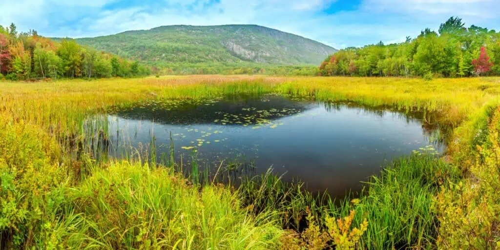 Acadia National Park Loop (Maine)