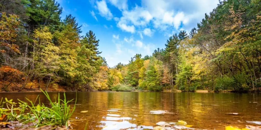 Norwalk Connecticut pond fall