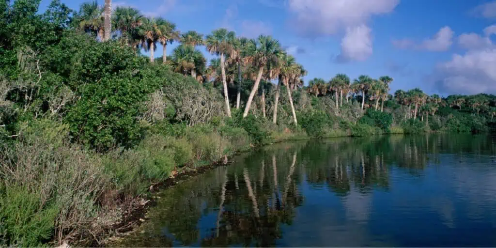 Canaveral National Seashore