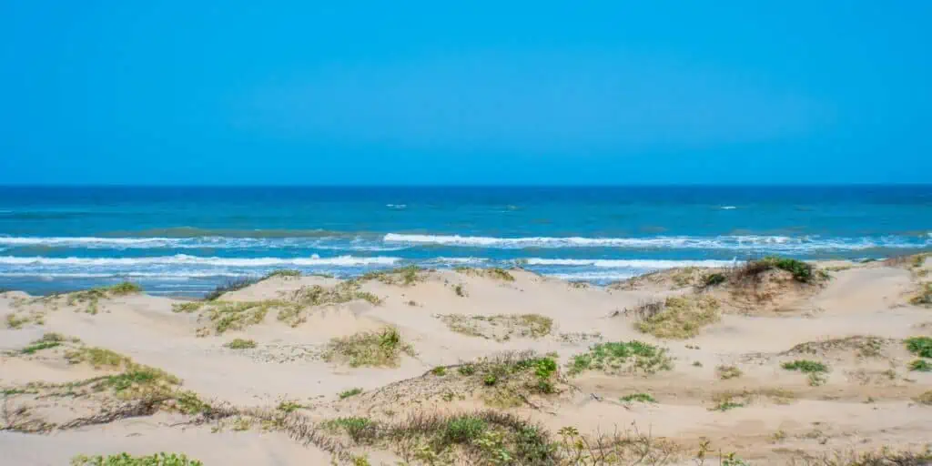 Padre Island National Seashore