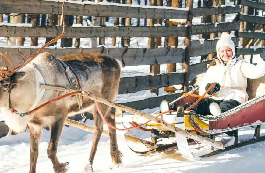 Reindeer Sledding in Lapland, Finland