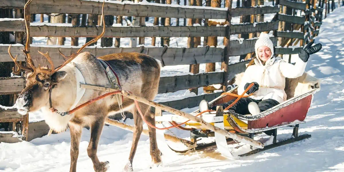 Reindeer Sledding in Lapland, Finland