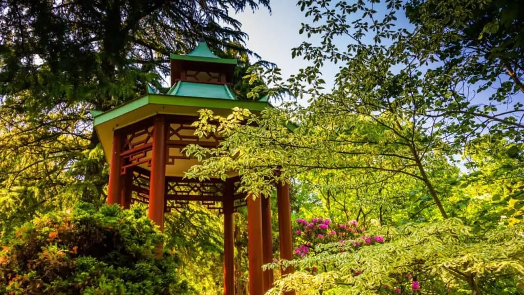 National Arboretum in Washington DC