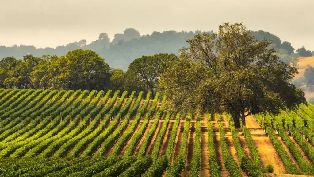 Sonoma County, California