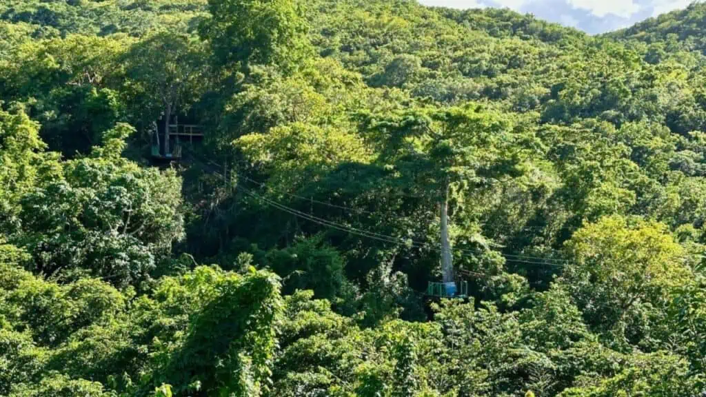 Ziplining in Antigua