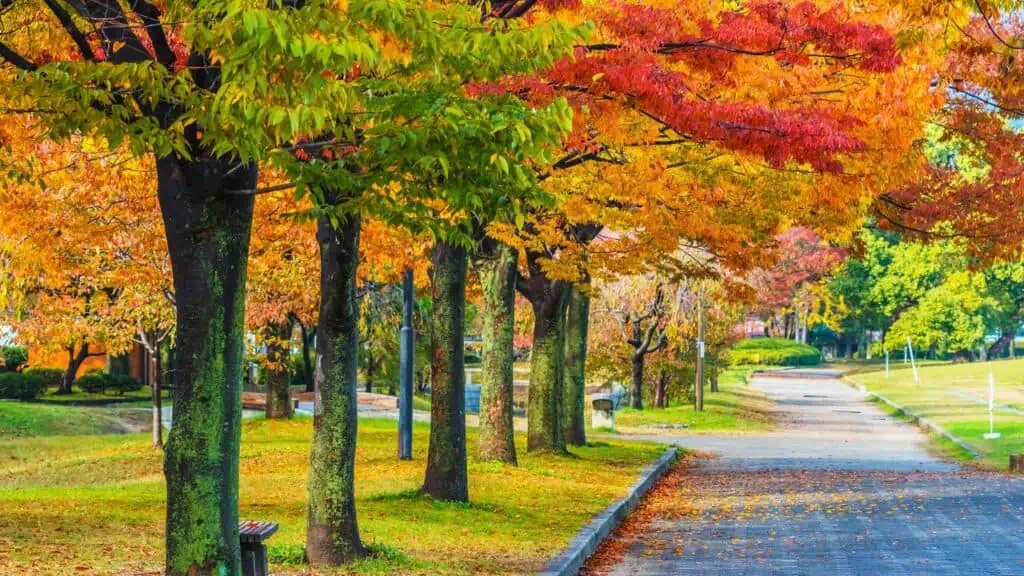 Hiroshima Central Park (Chuo Keon)