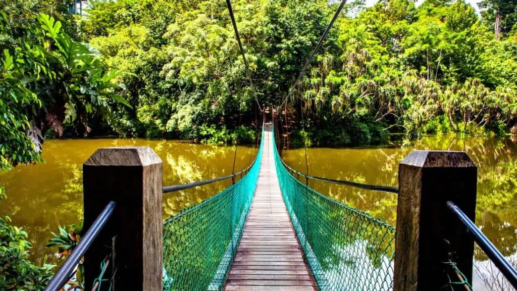 Rainforest Discovery Centre in Sepilok