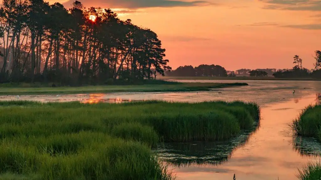 Chincoteague Wildlife Refuge in Virginia