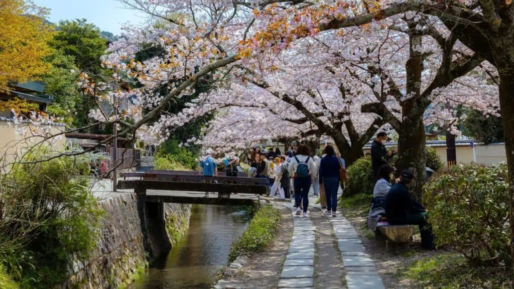 Philosopher’s Path (Tetsugaku No Michi) in Kyoto, Japan