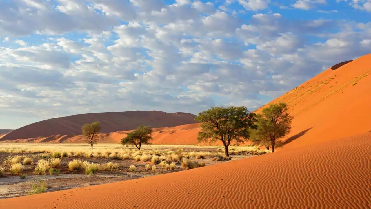 Sossusvlei landscape