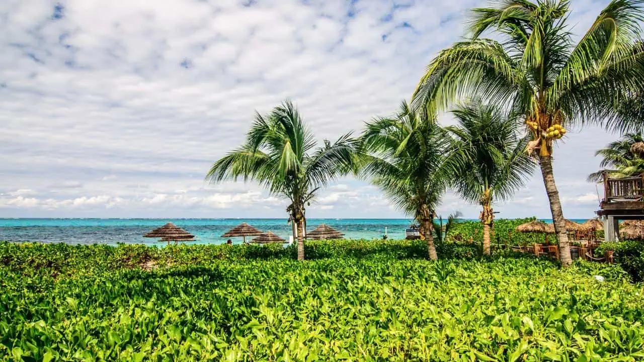 Grace Bay Beach, Turks and Caicos (2)