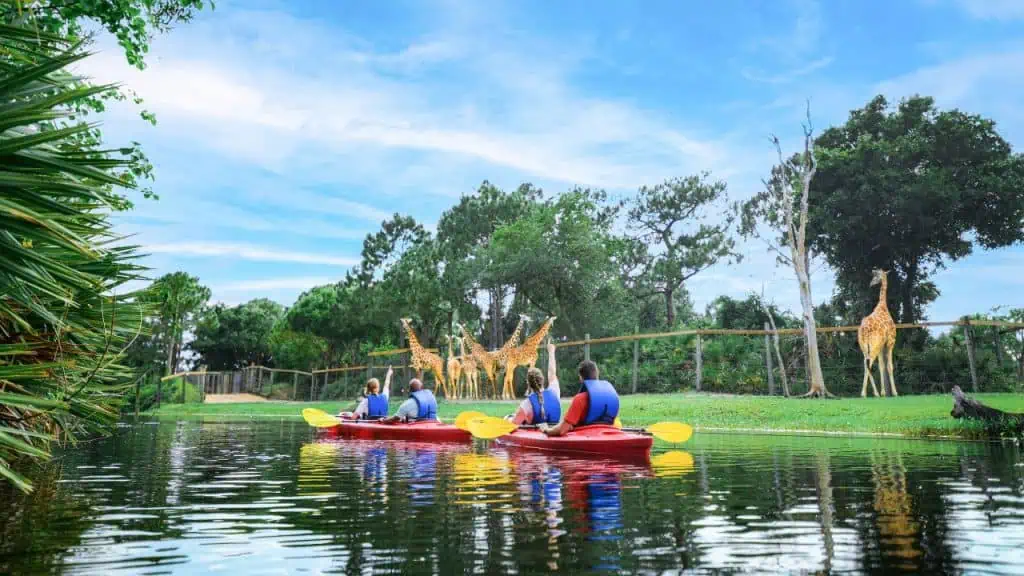 Brevard Zoo kayaking in Florida's Space Coast