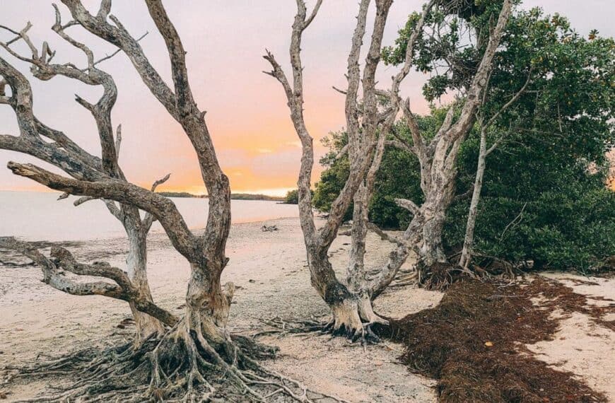 Everglades National Park, Florida