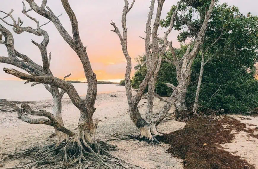 Everglades National Park, Florida