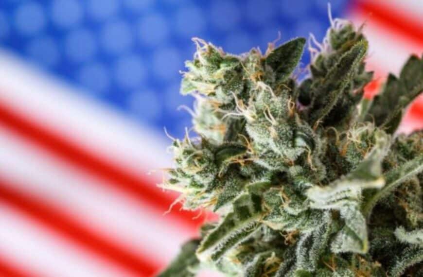 U.S. marijuana laws