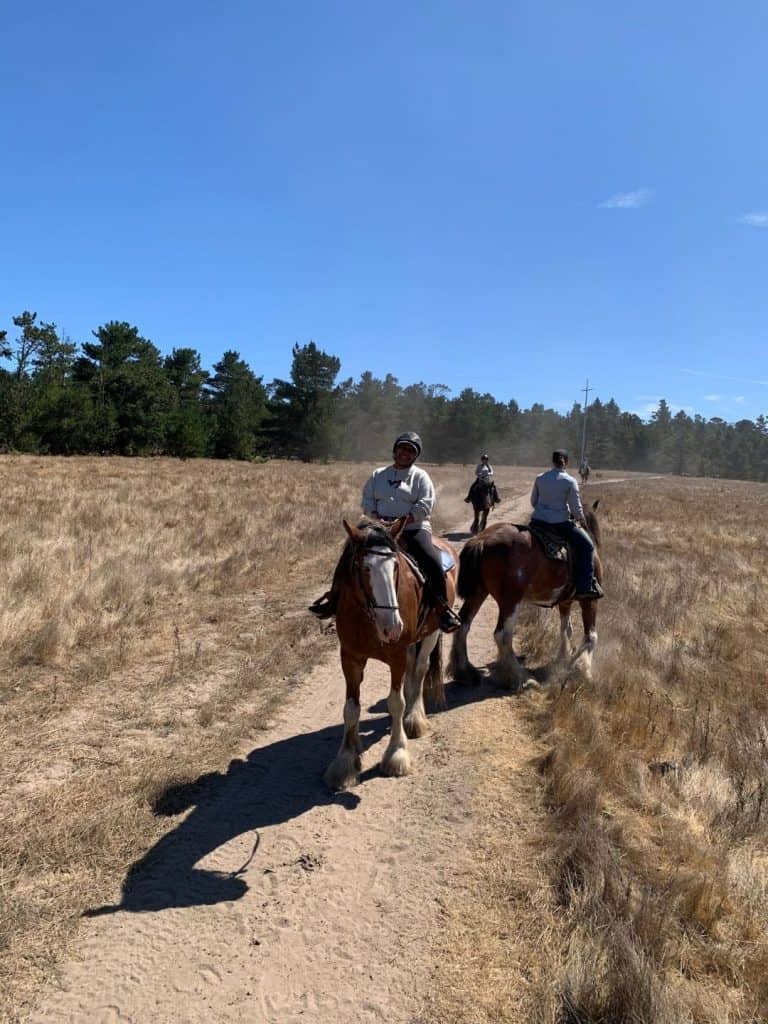 Clydesdales de Covell