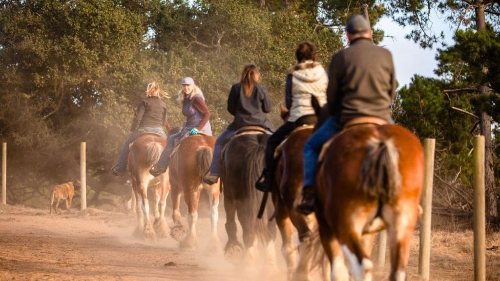 Los Clydesdales de Covell