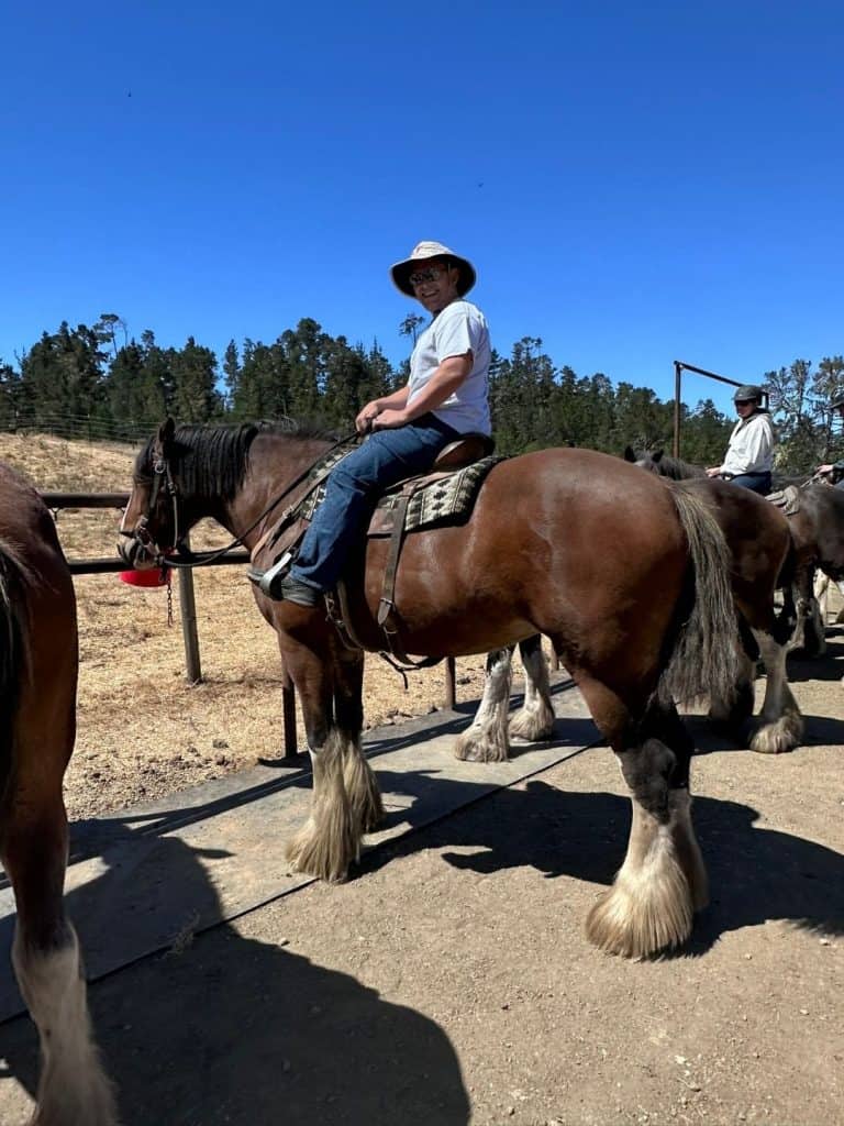 Clydesdales de Covell